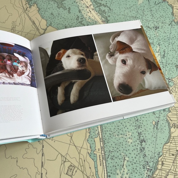 The Graphic Eye - Chronicle Books - Picture 4 of 8